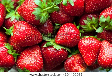 ripe red strawberries full of vitamins and natural forces