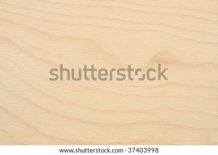 Birch Ply Texture
