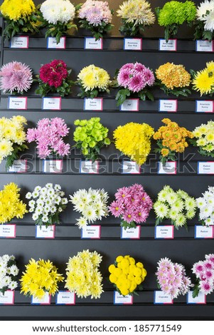 DE KWAKEL- APR 5: Different breeds of chrysanthemums with the breed names tags in English, on Deliflor display stand during Greenhouses Open day on April 5, 2014, in De Kwakel, The Netherlands