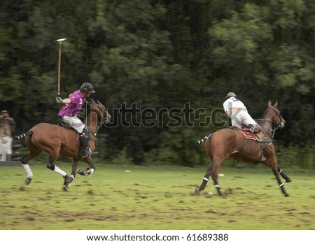 AMSTERDAM, THE NETHERLANDS - SEP 25: Professional international polo players participate in the annual Amsterdam Polo Trophy, September 25, 2010 in Amsterdam, The Netherlands