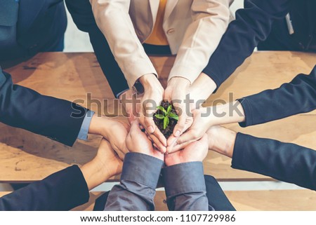 Hands adult business Team Work Cupping young Plant and seeding Nurture grow Environmental and reduce global warming help earth. Ecology Concept