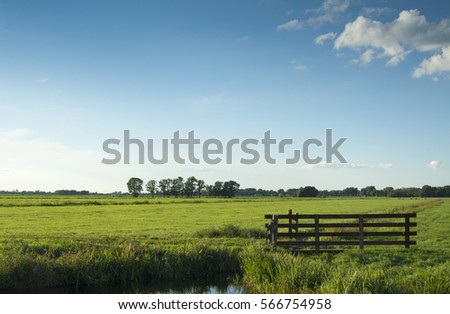 Dutch landscape wooden fence, blue sky, green grass field, cloud, tree, green, grass, horizon
