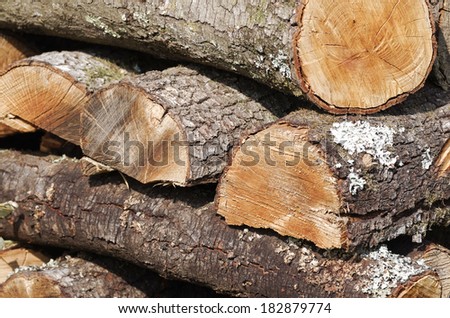 pile of log in a meadow in la spezia