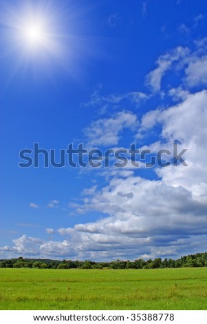 Summer landscape with blue sky, green grass and trees