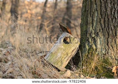 wood house for birds in the forest