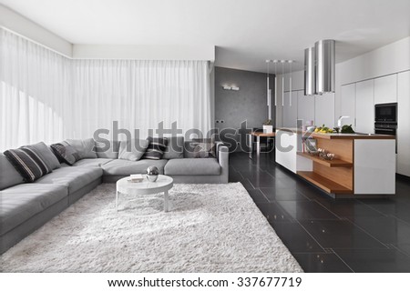 interior view of modern living room with sofa and carpet overlooking on the kitchen