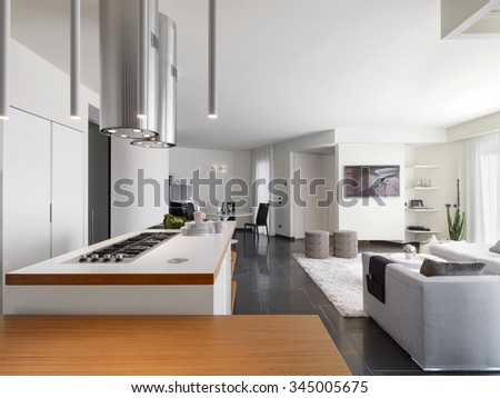 internal view of a modern kitchen  overlooking on the living room and the entrance