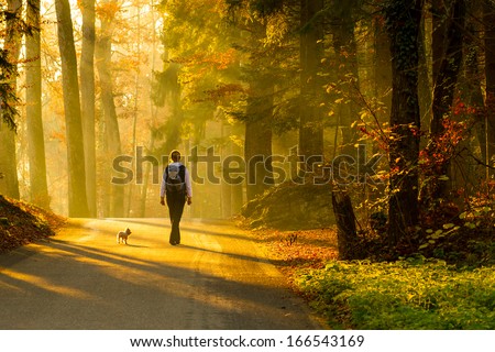 Rear view of young woman walking with dog on road through colorful autumn forest.