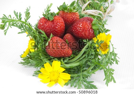 strawberries with  yellow flower in a  basket of leaves isolated on white