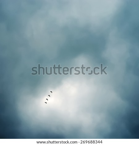 flock of birds flying in formation, stormy and cloudy sky background