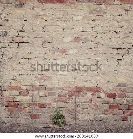 old grunge brick wall texture grunge background