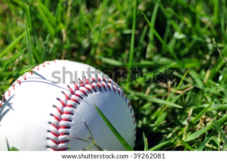 baseball sitting grass room for your text