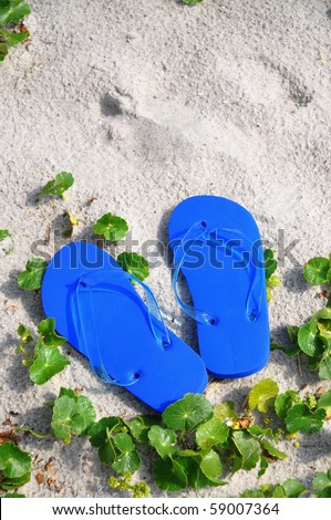 Flip Flops in the sand, perfect for cover art