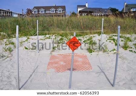MYRTLE BEACH, SOUTH CAROLINA - SEPTEMBER 30: State Reptile Loggerhead Turtle Nest protected by law. Nest begin to hatch September through November. September 30, 2010 Myrtle Beach South Carolina.