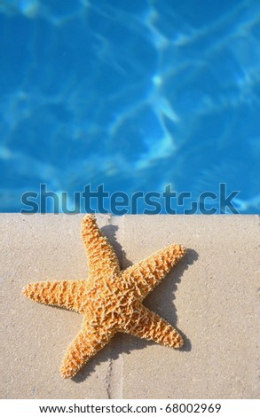 Starfish sitting by swimming pool. Room for your text, perfect for cover art.