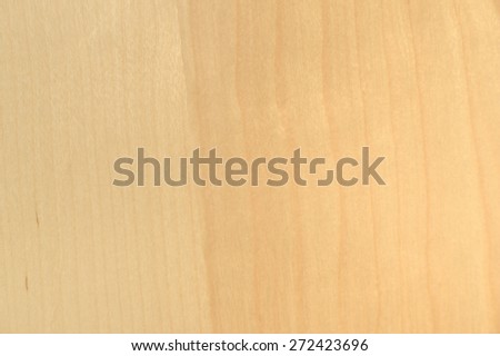 Beige, yellow texture of birch-wood, material, texture