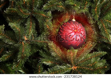 Red Christmas tree decoration in the form of a sphere on a fir-tree branch