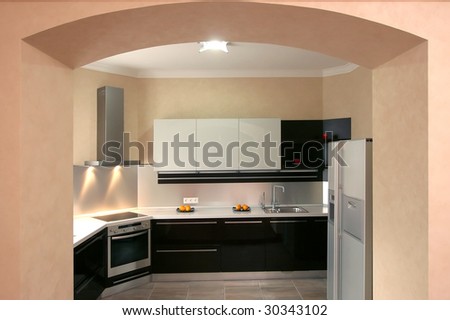 Modern kitchen with the built in home appliances