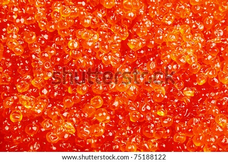 A lot of red caviar close up