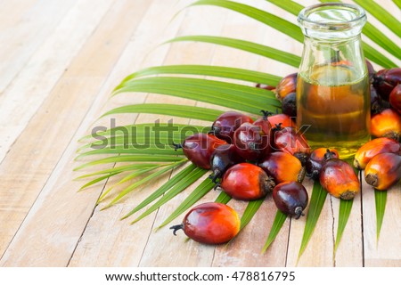Commercial palm oil cultivation. Since palm oil contains more saturated fats  its use in food. Oil from Elaeis guineensis is also used as biofuel. It is used as a cooking and in packed food products