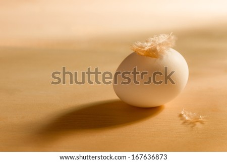 Egg and chicken feather on a wooden table in golden tones