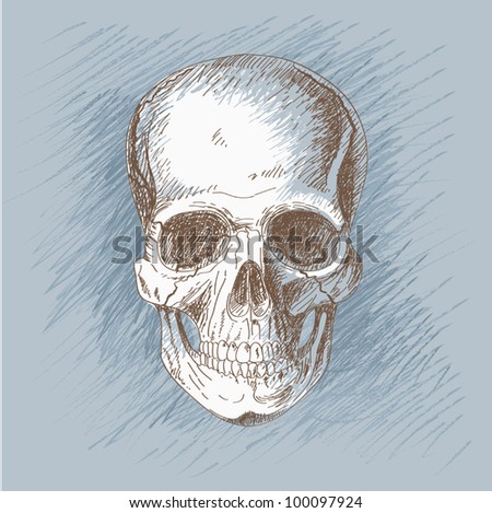 Human Skull Painting
