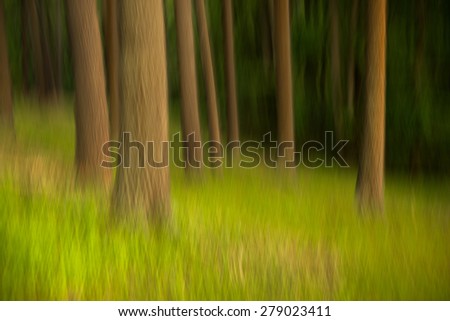 The motion of the camera during a long exposure shows the movement of the trees in a springtime forest.