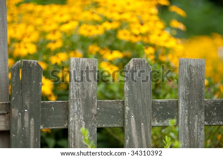 old weathered fence with blurred flowers in the background