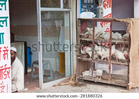 UDAIPUR, INDIA - MARCH 6, 2015: Live chickens for sale outside a Halal butchers shop. One quarter of the Indian population is Moslem