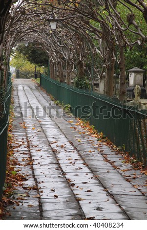 Birdcage Walk where pleached Lime trees form an archway through St Andrew's churchyard in Clifton, Bristol UK