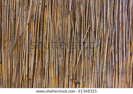 Bamboo canes bound together to form a screen