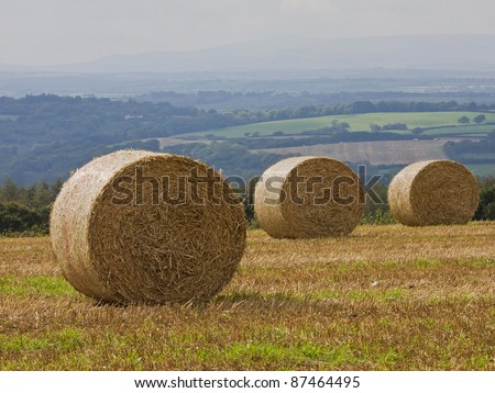 Freshly cut hay baled for collection in a Devonshire field in the late summer, UK