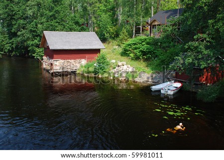 Typical finich property in the boder od river hidden in the birch forest, the man is swiming  in clean water, its a finnich lifestile