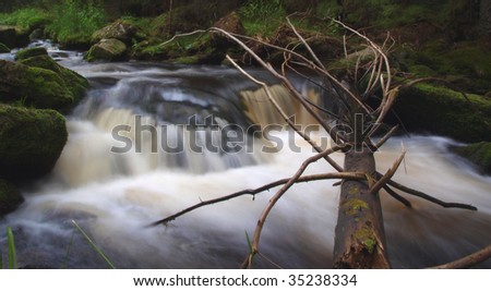 Stream in the forest with tree trunk