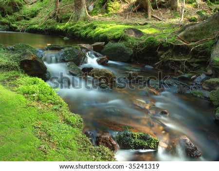 Stream in the forest with stones covered by moss