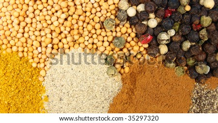 Collection of spices background