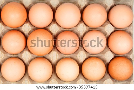 Eggs on carton