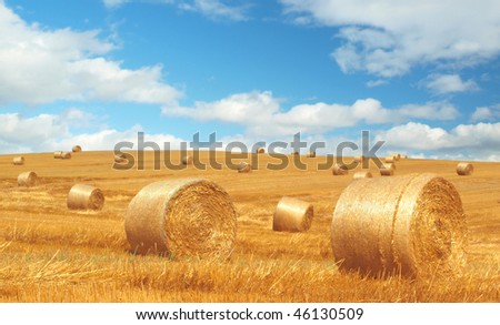 Straw Bundles