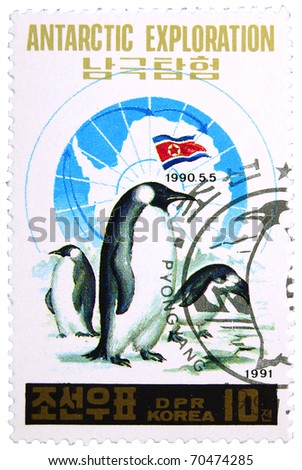 penguins korea