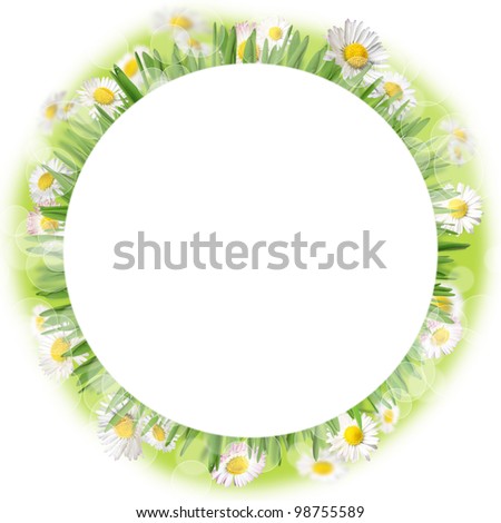 Circle made of daisies and grass