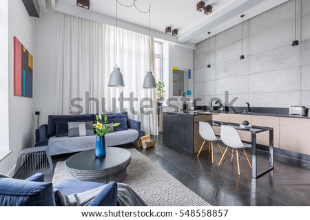 New style multifunctional apartment with living room and kitchen combined