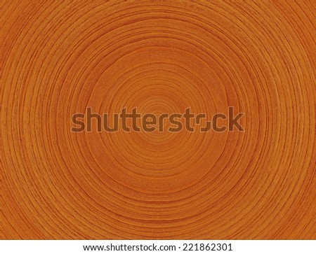 Close-up of wood showing annual rings - wooden texture.