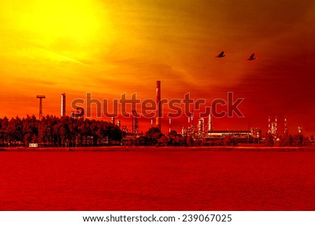 Petroleum oil refinery factory at sunset.