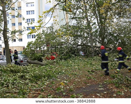 GDANSK - OCTOBER 14: Hurricane in the city Gdansk breaks dozens of trees and destroys many cars on October 14, 2009 in Gdansk, Poland.