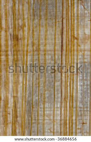 Old papyrus macro texture background vertical