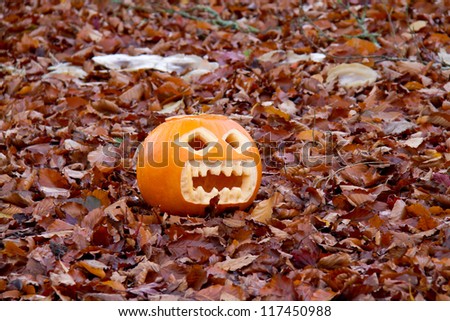 Carved Halloween pumpkin resting on fallen Beech leaves