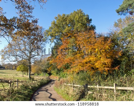 Country Lane in Autumn in Sussex, England