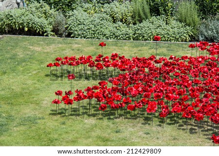 Display of ceramic poppies commemorating the centenary of the start of the First World War, with the poppies representing military personnel killed during the War.