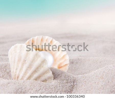 Shell with pearl on a beach