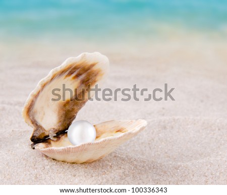 Shell with pearl on a beach